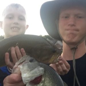 Meet your Posher, Cole